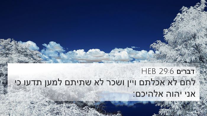 דברים 29:6 HEB 4K Wallpaper - לחם לא אכלתם ויין ושכר לא - 4K Wallpaper Bible Verse