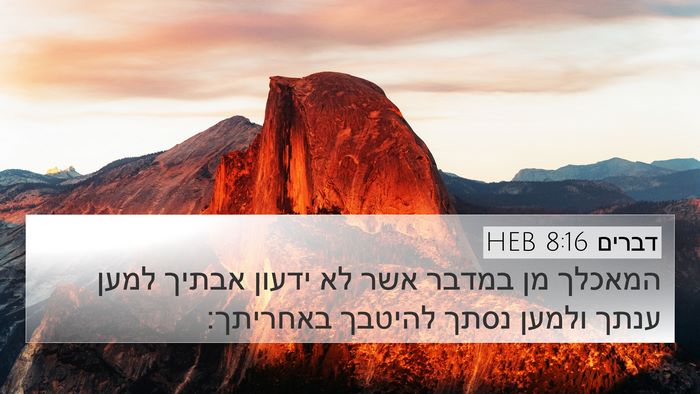 דברים 8:16 HEB Bible Verse Image