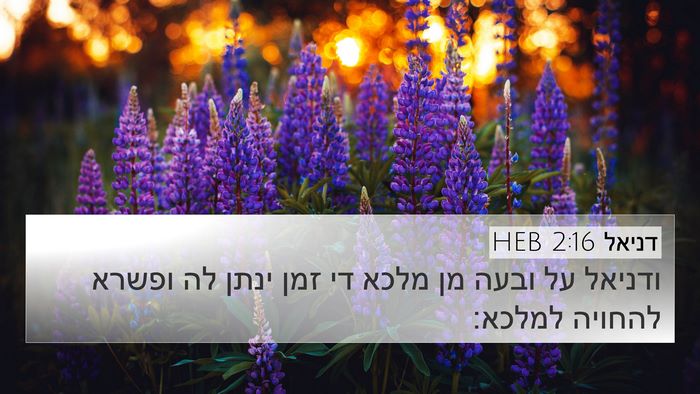דניאל 2:16 HEB 4K Wallpaper - ודניאל על ובעה מן מלכא די - 4K Wallpaper Bible Verse