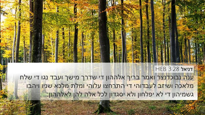 דניאל 3:28 HEB Bible Verse Image
