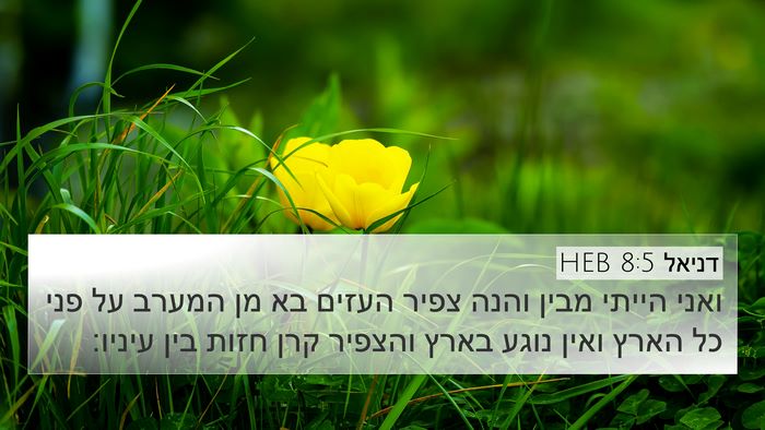 דניאל 8:5 HEB Bible Verse Image