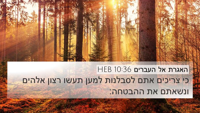 האגרת אל העברים 10:36 HEB Bible Verse Image