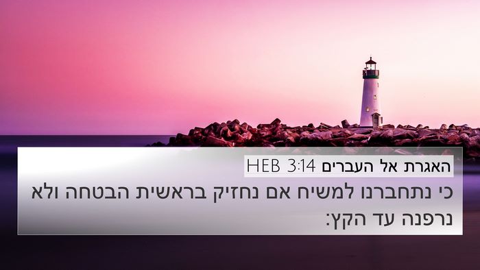 האגרת אל העברים 3:14 HEB Bible Verse Image