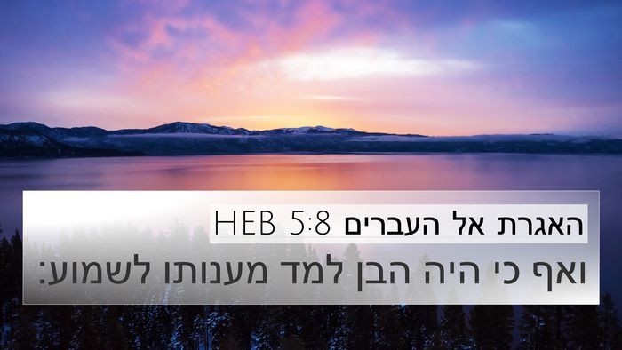 האגרת אל העברים 5:8 HEB Bible Verse Image