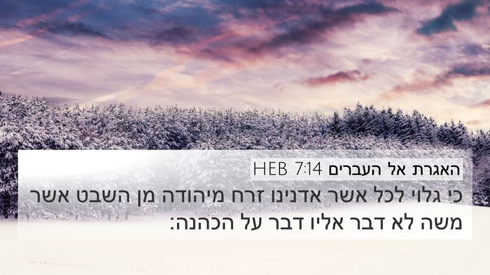 האגרת אל העברים 7:14 HEB Bible Verse Image
