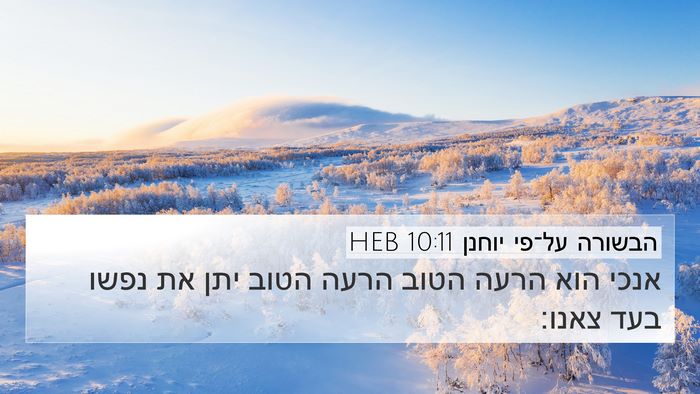 הבשורה על־פי יוחנן 10:11 HEB Bible Verse Image