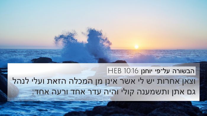 הבשורה על־פי יוחנן 10:16 HEB Bible Verse Image
