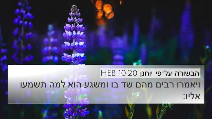 הבשורה על־פי יוחנן 10:20 HEB Bible Verse Image