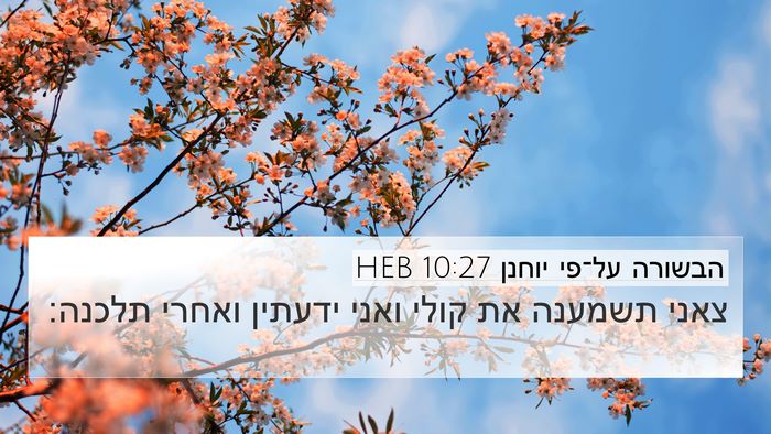 הבשורה על־פי יוחנן 10:27 HEB Bible Verse Image