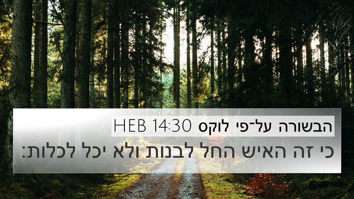 הבשורה על־פי לוקס 14:30 HEB Bible Verse Image