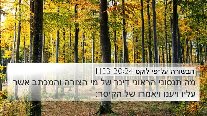 הבשורה על־פי לוקס 20:24 HEB 4K Wallpaper - מה תנסוני הראוני דינר של מי - 4K Wallpaper Bible Verse