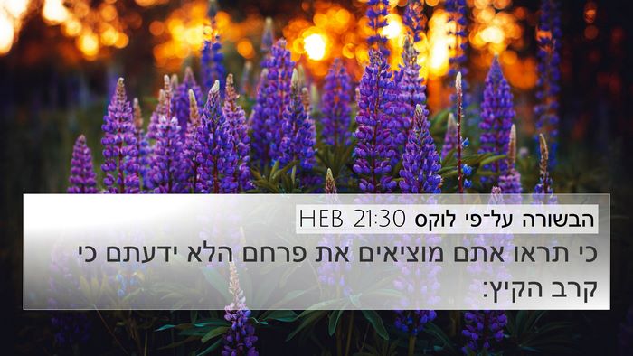 הבשורה על־פי לוקס 21:30 HEB 4K Wallpaper - כי תראו אתם מוציאים את פרחם - 4K Wallpaper Bible Verse