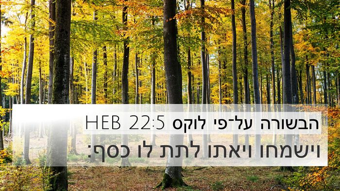 הבשורה על־פי לוקס 22:5 HEB 4K Wallpaper - וישמחו ויאתו לתת לו - 4K Wallpaper Bible Verse