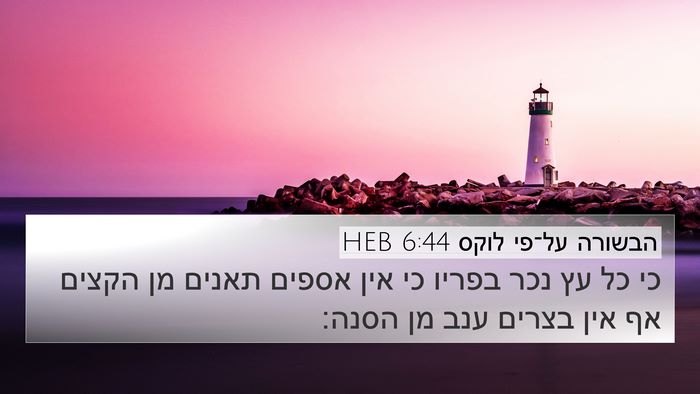 הבשורה על־פי לוקס 6:44 HEB 4K Wallpaper - כי כל עץ נכר בפריו כי אין - 4K Wallpaper Bible Verse