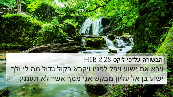הבשורה על־פי לוקס 8:28 HEB Bible Verse Image
