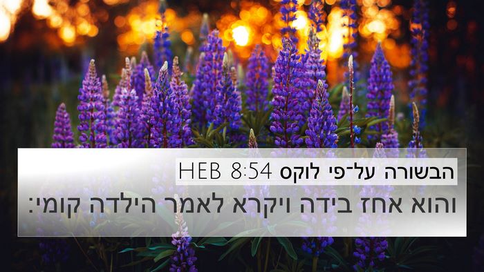 הבשורה על־פי לוקס 8:54 HEB Bible Verse Image