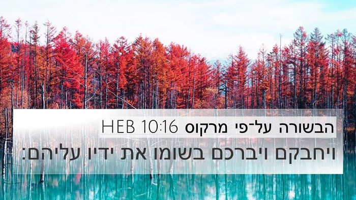 הבשורה על־פי מרקוס 10:16 HEB 4K Wallpaper - ויחבקם ויברכם בשומו את - 4K Wallpaper Bible Verse