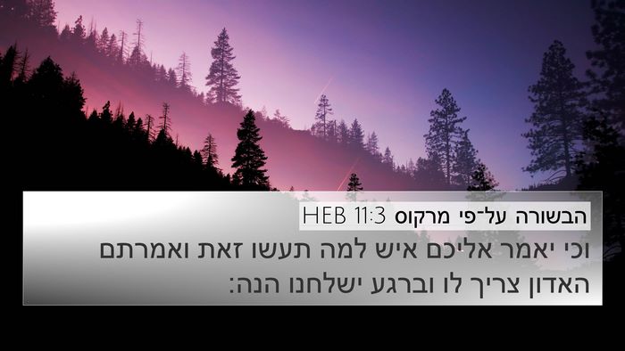 הבשורה על־פי מרקוס 11:3 HEB 4K Wallpaper - וכי יאמר אליכם איש למה תעשו - 4K Wallpaper Bible Verse
