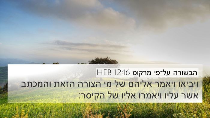 הבשורה על־פי מרקוס 12:16 HEB 4K Wallpaper - ויביאו ויאמר אליהם של מי - 4K Wallpaper Bible Verse