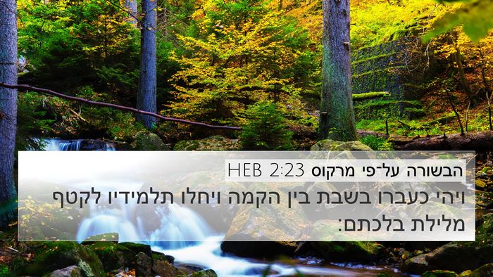 הבשורה על־פי מרקוס 2:23 HEB 4K Wallpaper - ויהי כעברו בשבת בין הקמה - 4K Wallpaper Bible Verse