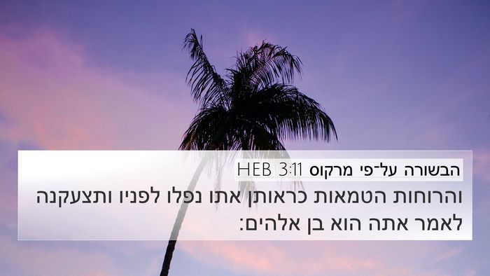 הבשורה על־פי מרקוס 3:11 HEB Bible Verse Image