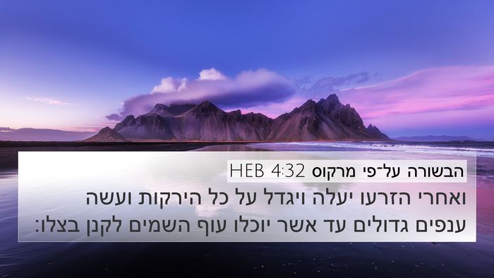 הבשורה על־פי מרקוס 4:32 HEB 4K Wallpaper - ואחרי הזרעו יעלה ויגדל על - 4K Wallpaper Bible Verse