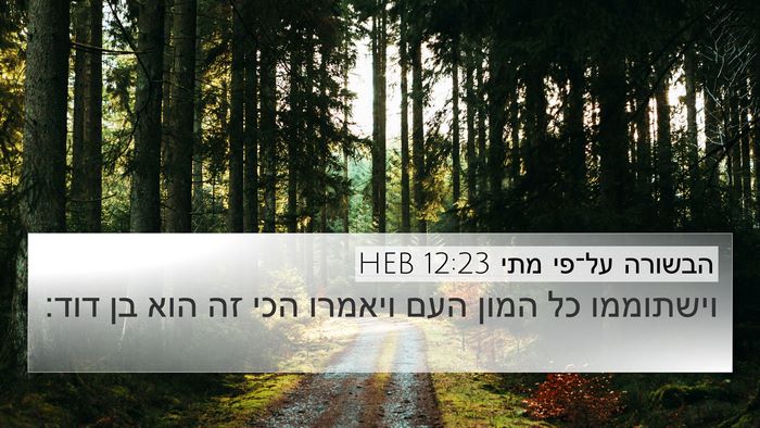 הבשורה על־פי מתי 12:23 HEB Bible Verse Image