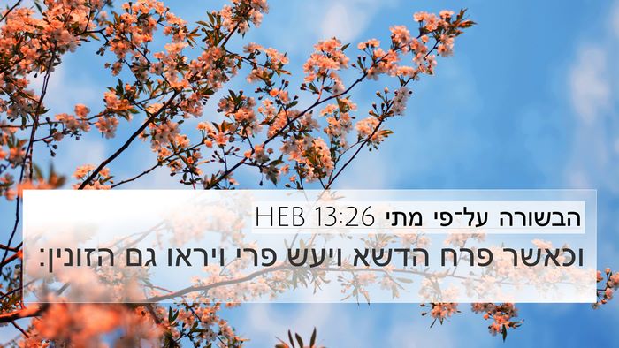 הבשורה על־פי מתי 13:26 HEB Bible Verse Image