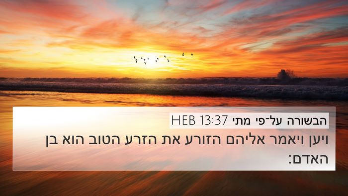 הבשורה על־פי מתי 13:37 HEB Bible Verse Image