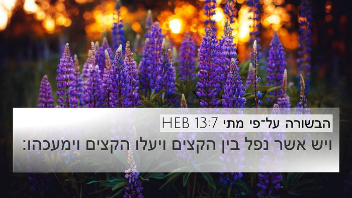 הבשורה על־פי מתי 13:7 HEB Bible Verse Image