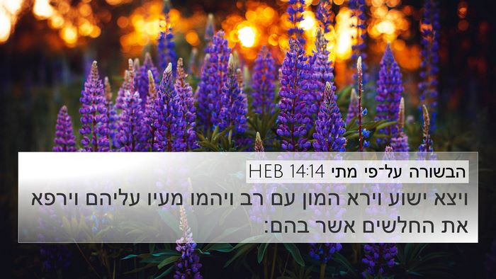 הבשורה על־פי מתי 14:14 HEB Bible Verse Image