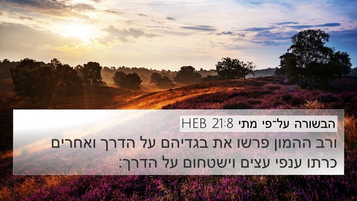 הבשורה על־פי מתי 21:8 HEB 4K Wallpaper - ורב ההמון פרשו את בגדיהם על - 4K Wallpaper Bible Verse