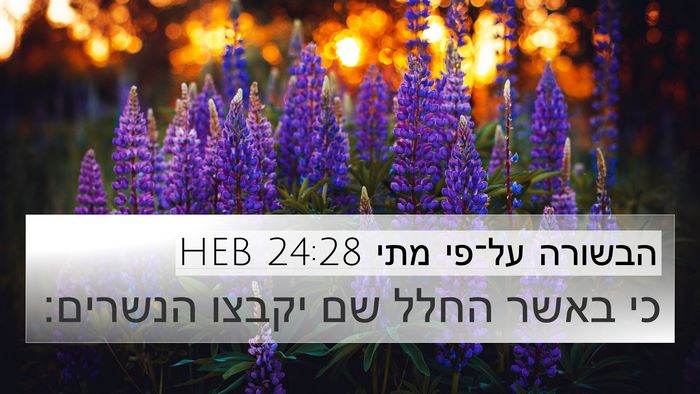 הבשורה על־פי מתי 24:28 HEB Bible Verse Image