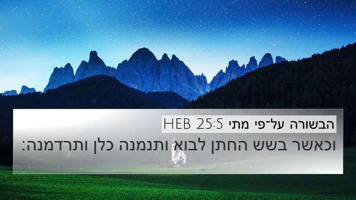 הבשורה על־פי מתי 25:5 HEB Bible Verse Image