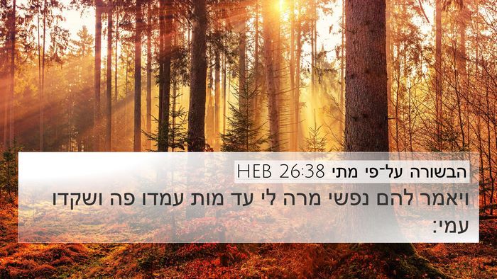 הבשורה על־פי מתי 26:38 HEB Bible Verse Image