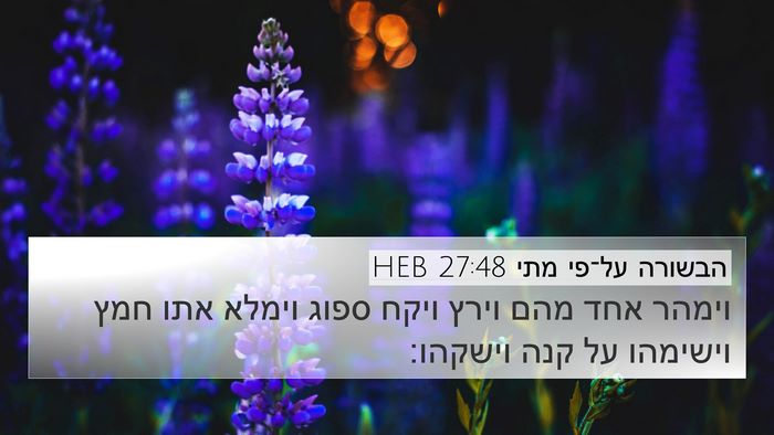 הבשורה על־פי מתי 27:48 HEB Bible Verse Image
