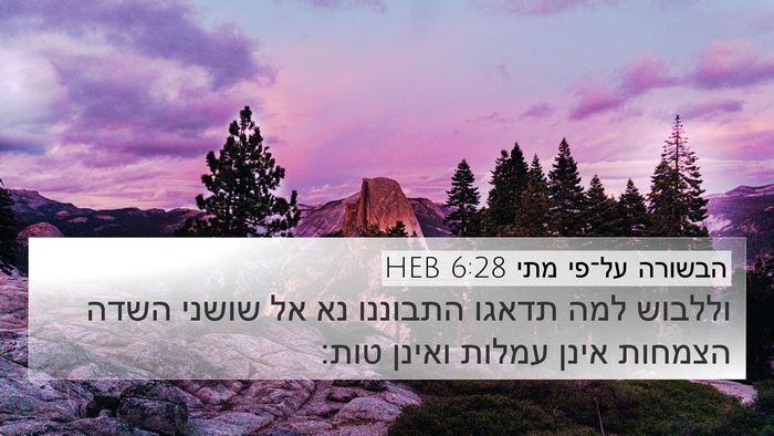הבשורה על־פי מתי 6:28 HEB Bible Verse Image