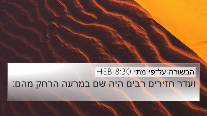 הבשורה על־פי מתי 8:30 HEB Bible Verse Image