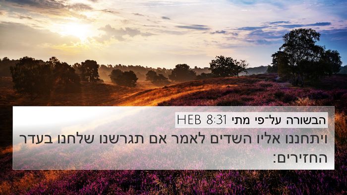 הבשורה על־פי מתי 8:31 HEB Bible Verse Image