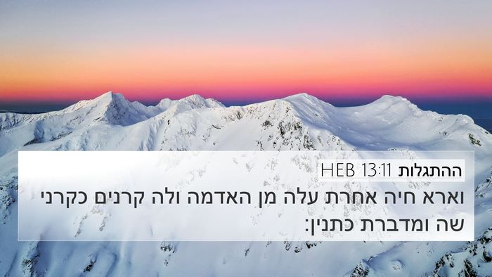 ההתגלות 13:11 HEB Bible Verse Image