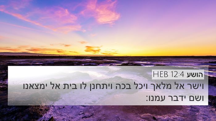 הושע 12:4 HEB Bible Verse Image