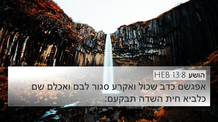 הושע 13:8 HEB Bible Verse Image