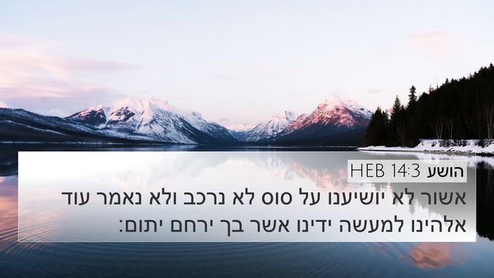הושע 14:3 HEB Bible Verse Image