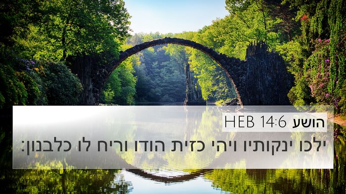 הושע 14:6 HEB 4K Wallpaper - ילכו ינקותיו ויהי כזית - 4K Wallpaper Bible Verse