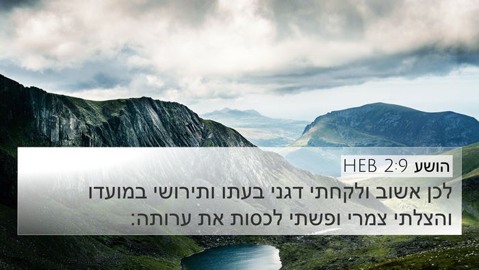 הושע 2:9 HEB Bible Verse Image