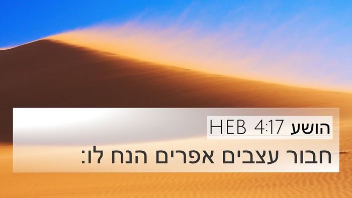 הושע 4:17 HEB Bible Verse Image
