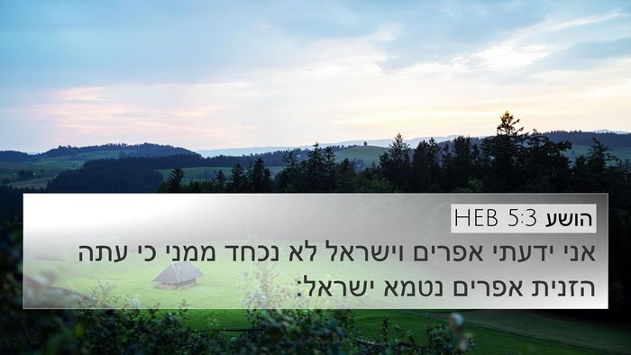 הושע 5:3 HEB 4K Wallpaper - אני ידעתי אפרים וישראל לא - 4K Wallpaper Bible Verse