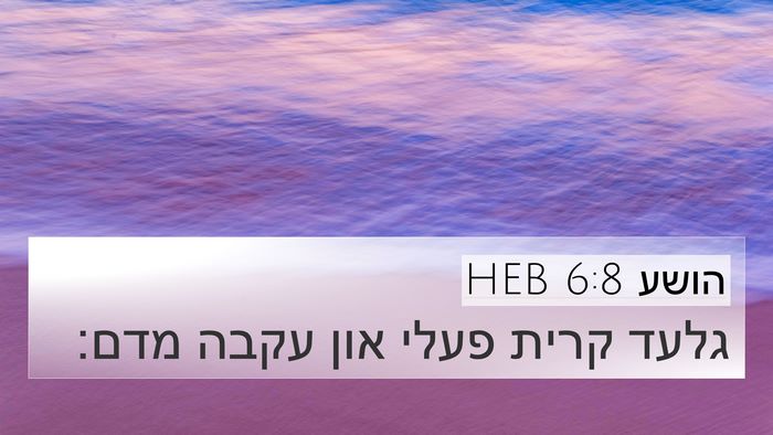 הושע 6:8 HEB 4K Wallpaper - גלעד קרית פעלי און עקבה - 4K Wallpaper Bible Verse