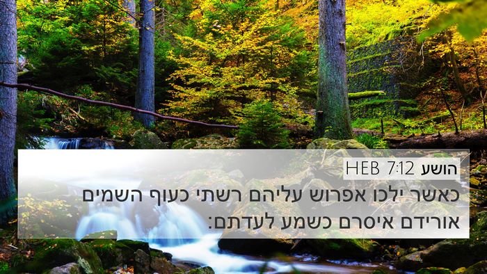 הושע 7:12 HEB 4K Wallpaper - כאשר ילכו אפרוש עליהם רשתי - 4K Wallpaper Bible Verse