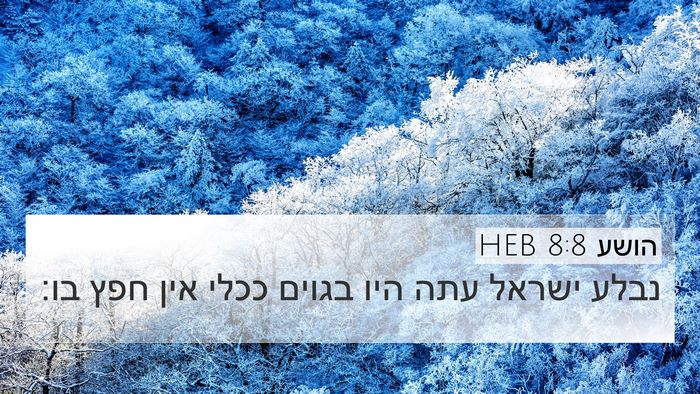 הושע 8:8 HEB Bible Verse Image